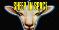Sheep in Space
