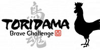 TORIDAMA: Brave Challenge