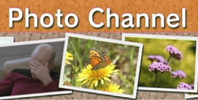 Wii Photo Channel