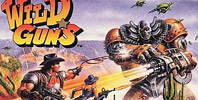 Wild Guns