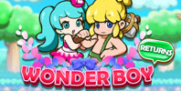 Wonder Boy Returns