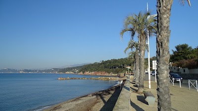 Photo 3 de Plage de la Garonne