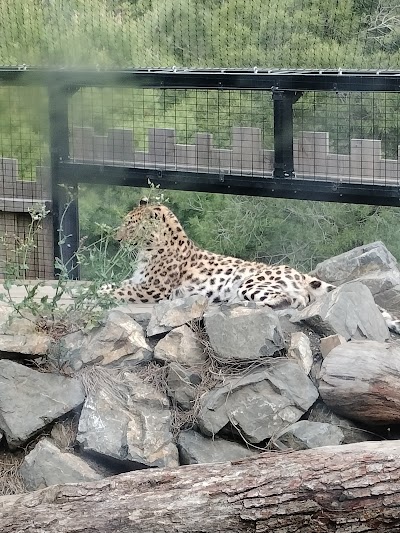 Photo 2 de EcoZonia - Parc Animalier