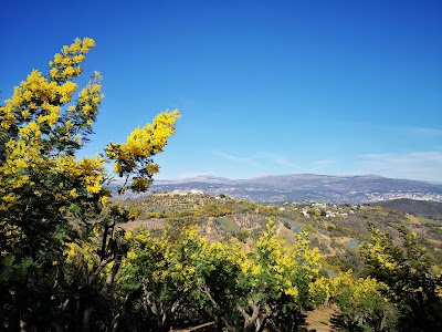 Photo 2 of Tanneron