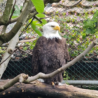 Photo 5 de Bioparc Genève