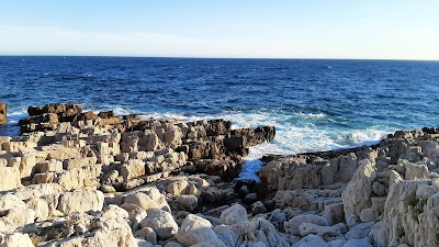 Photo 4 de Le Sentier du Littoral