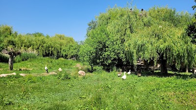 Photo 3 de Naturoparc