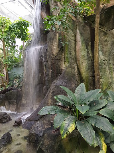 Serre Amazonienne