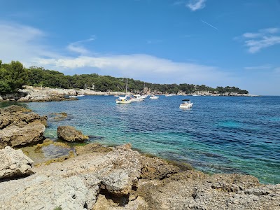 Photo 3 of Cap d'Antibes