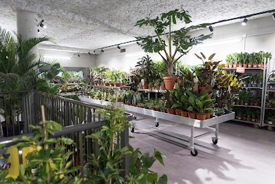 Photo 3 de Plantes Pour Tous - Bellecour
