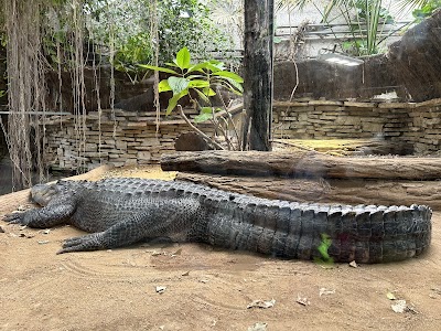 Photo 5 de Zoo de Beauval
