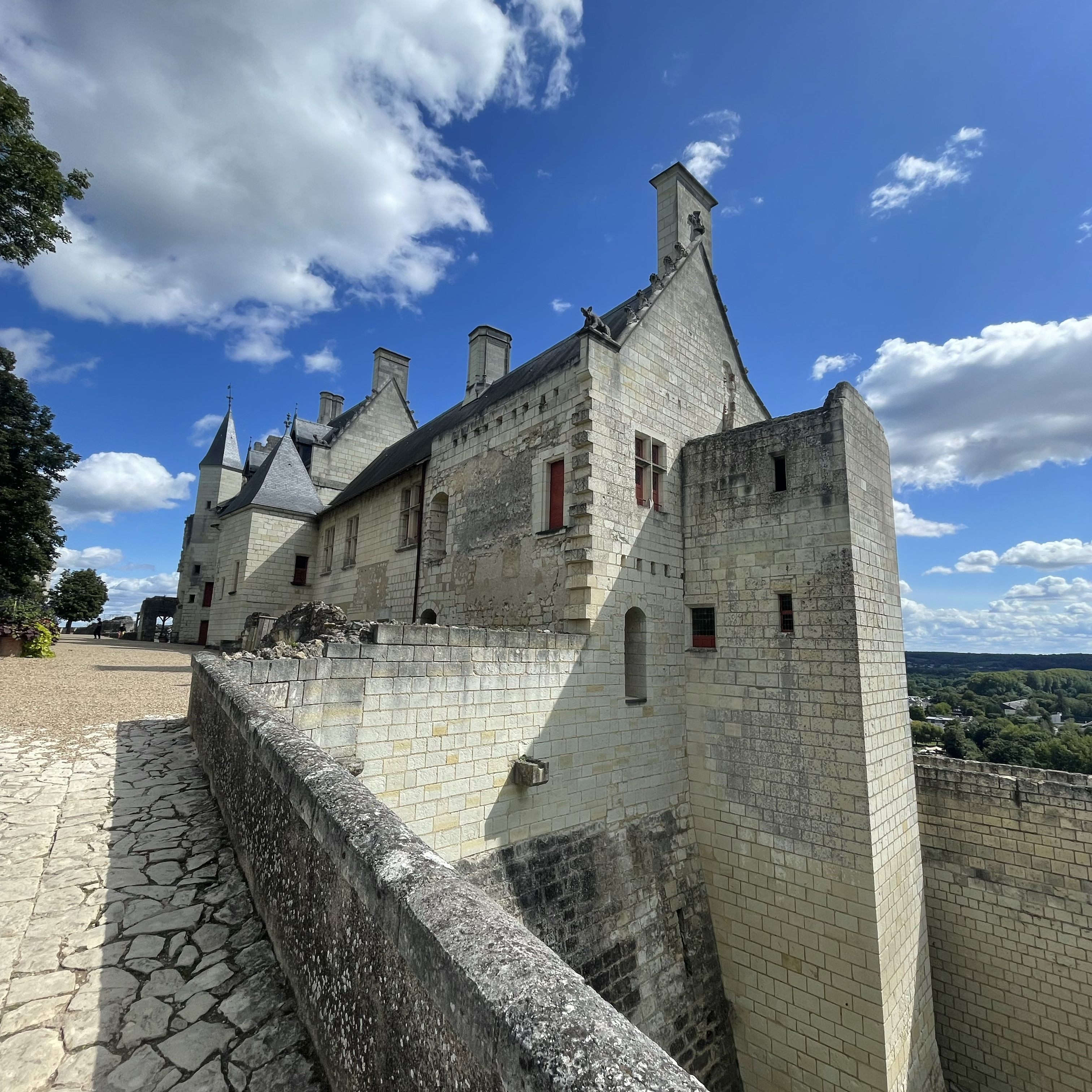 Photo 3 de Forteresse Royale de Chinon