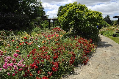Photo 2 de Parc Floral de la Beaujoire