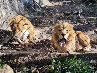 Photo 4 de Parc animalier du Mont Faron