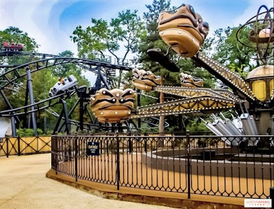 Photo 2 de Jardin d'Acclimatation