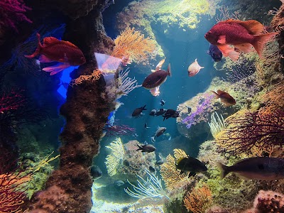 Photo 4 de Aquarium de La Rochelle