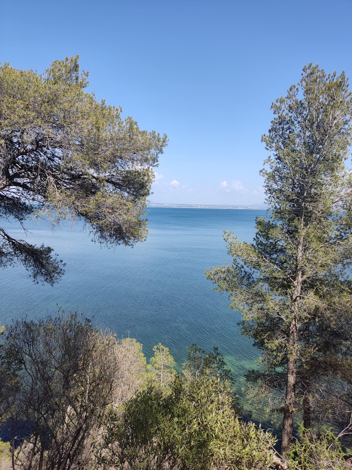 Photo 5 de Parc de Figuerolles