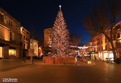 Photo 5 de Mairie de Salon-de-Provence
