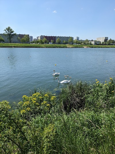 Photo 3 de Stade nautique international Didier-Simond