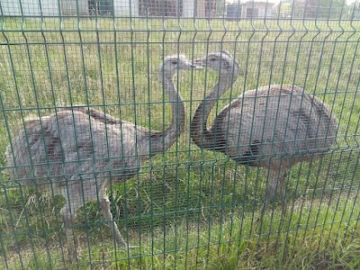 Photo 4 of Parc de la Toison d'Or