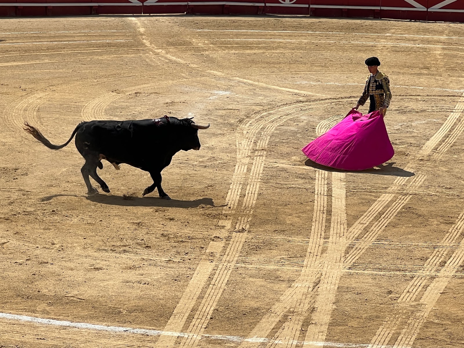 Photo 4 de Arènes de Béziers