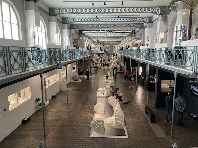 Photo 3 de Musée d'Histoire Naturelle de Lille