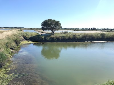 Photo 4 of L'Île-d'Olonne