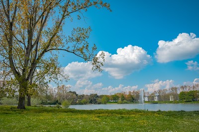 Photo 4 de Parc Paysager