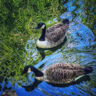 Photo 5 de Lac des Minimes