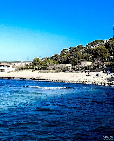 Photo 2 of Plage la couronne