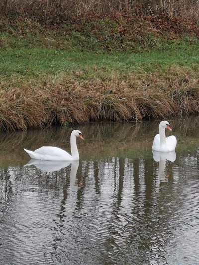 Photo 5 of Canal d'Orléans
