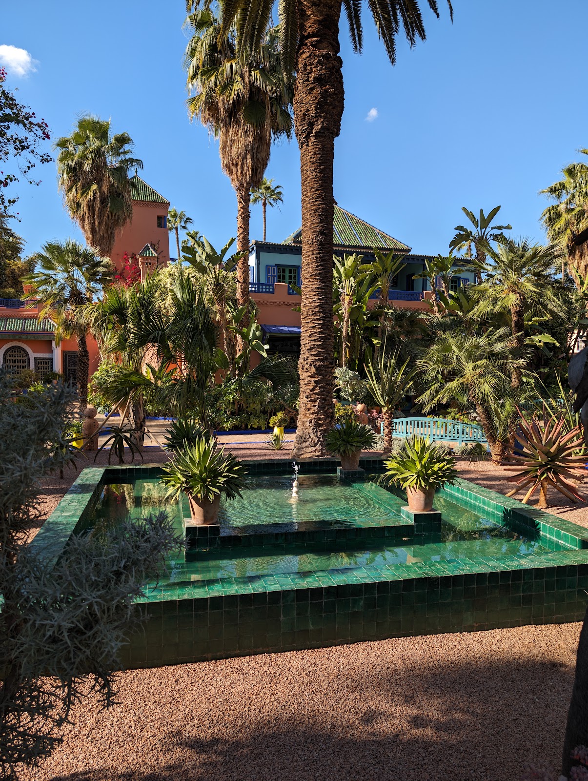 Photo 4 de Jardin Majorelle