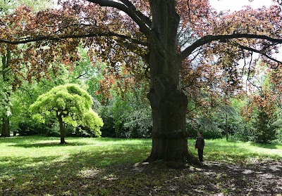 Photo 2 de Jardin botanique de Metz