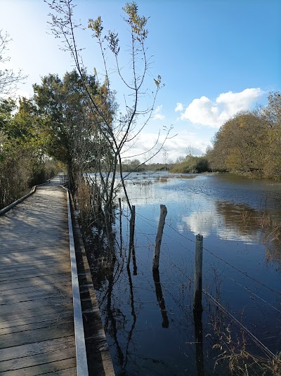 Photo 2 de Marais Tougas