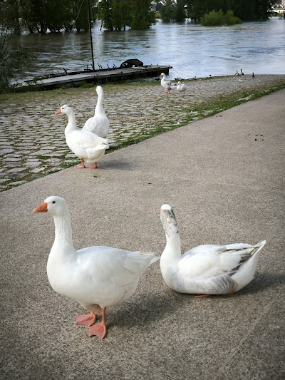 Photo 2 de Bord De Loire