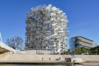 L’Arbre Blanc