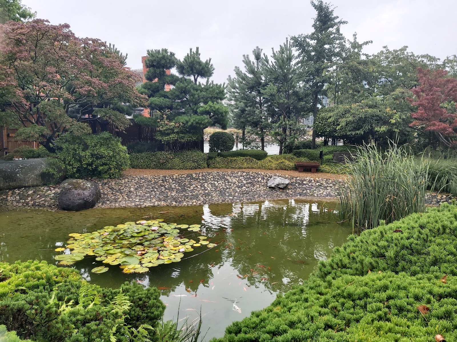 Jardin japonais du Havre