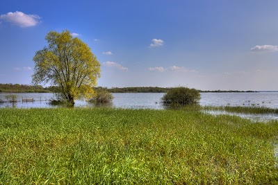Photo 3 de Lac de Grand-Lieu
