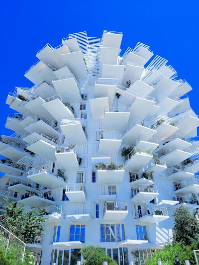 Photo 3 of L’Arbre Blanc