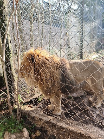 Photo 3 de Parc animalier du Mont Faron