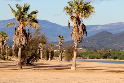 Photo 3 de Plage de Saint-Aygulf