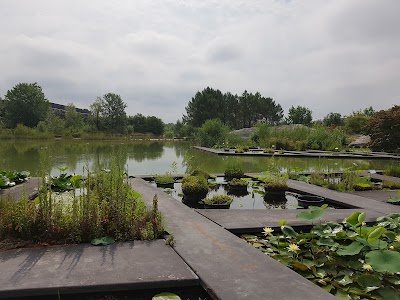 Photo 3 de Jardin Botanique