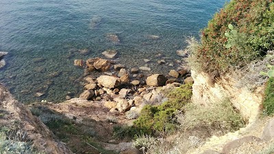 Photo 4 de Parc de la Méditerranée