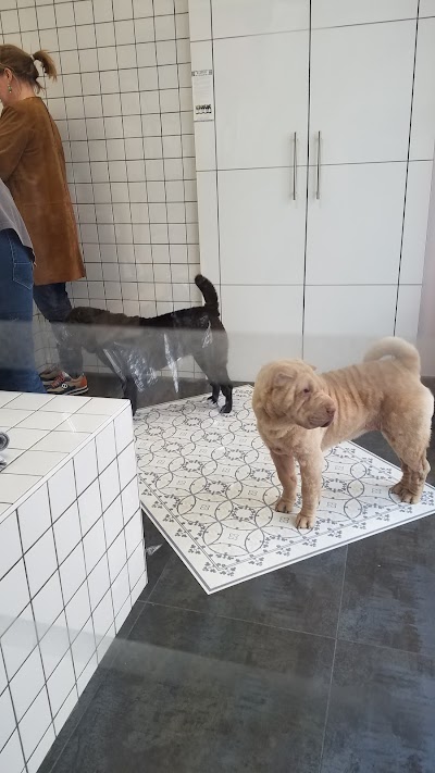 Photo 3 de Hariet & Rosie | Petshop à Nantes