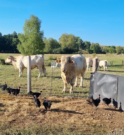 Photo 4 de Earl Ludwig - viande bio en vente directe