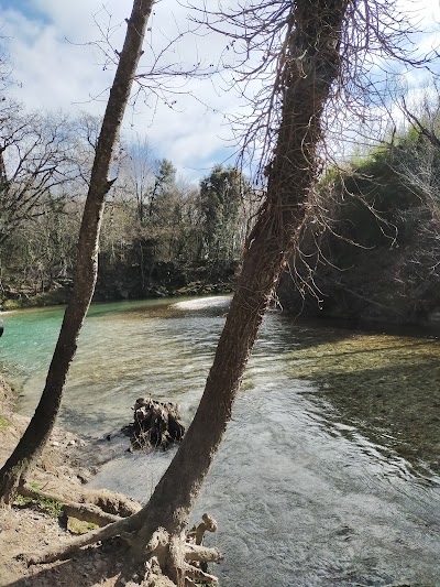 Photo 3 of Parc Naturel des Rives du Loup