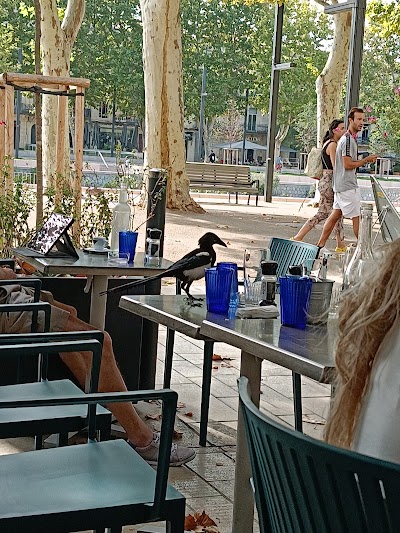 Photo 5 of Restaurant Chambourlettes