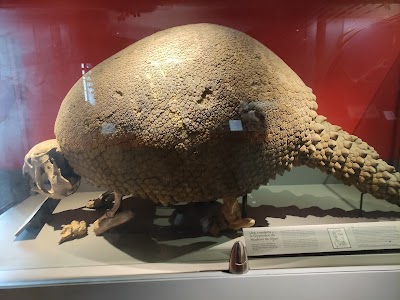 Musée d'histoire naturelle