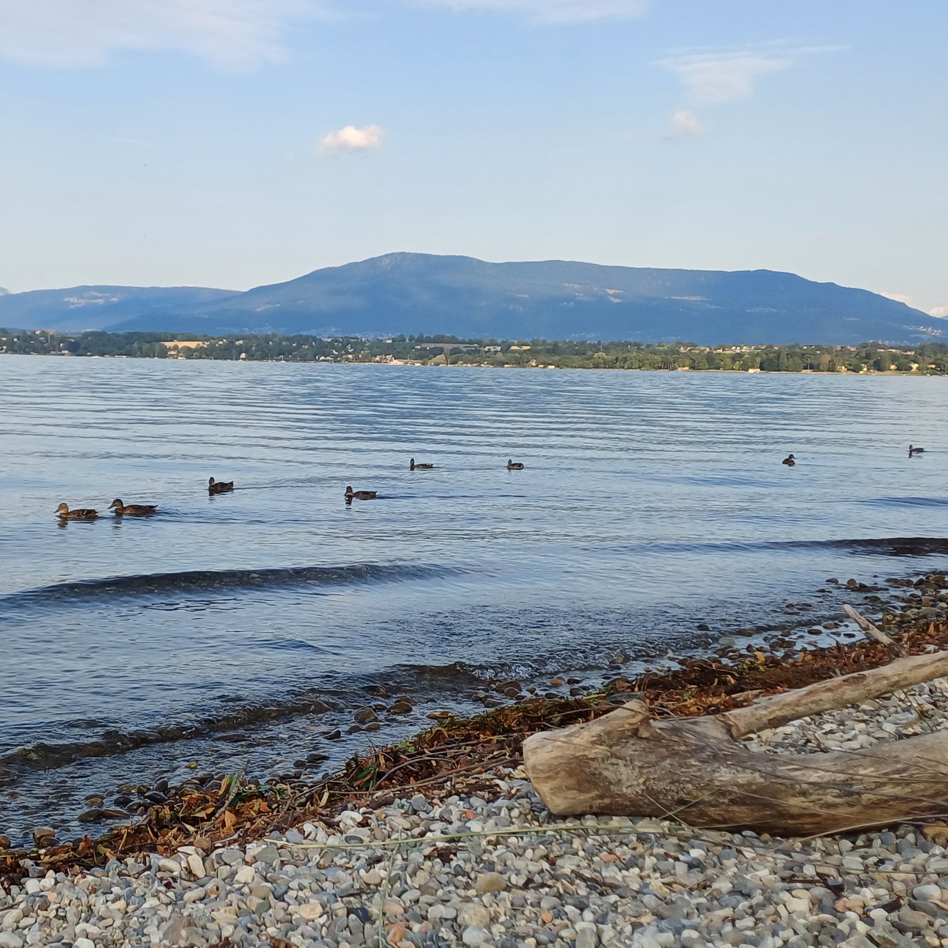 Plage de la Becassine