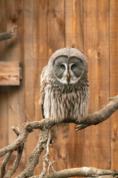 Photo 4 de EcoZonia - Parc Animalier
